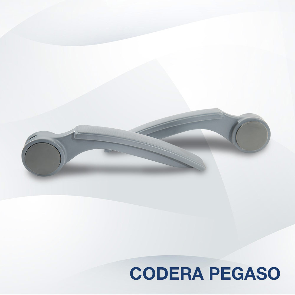 Codera Pegaso