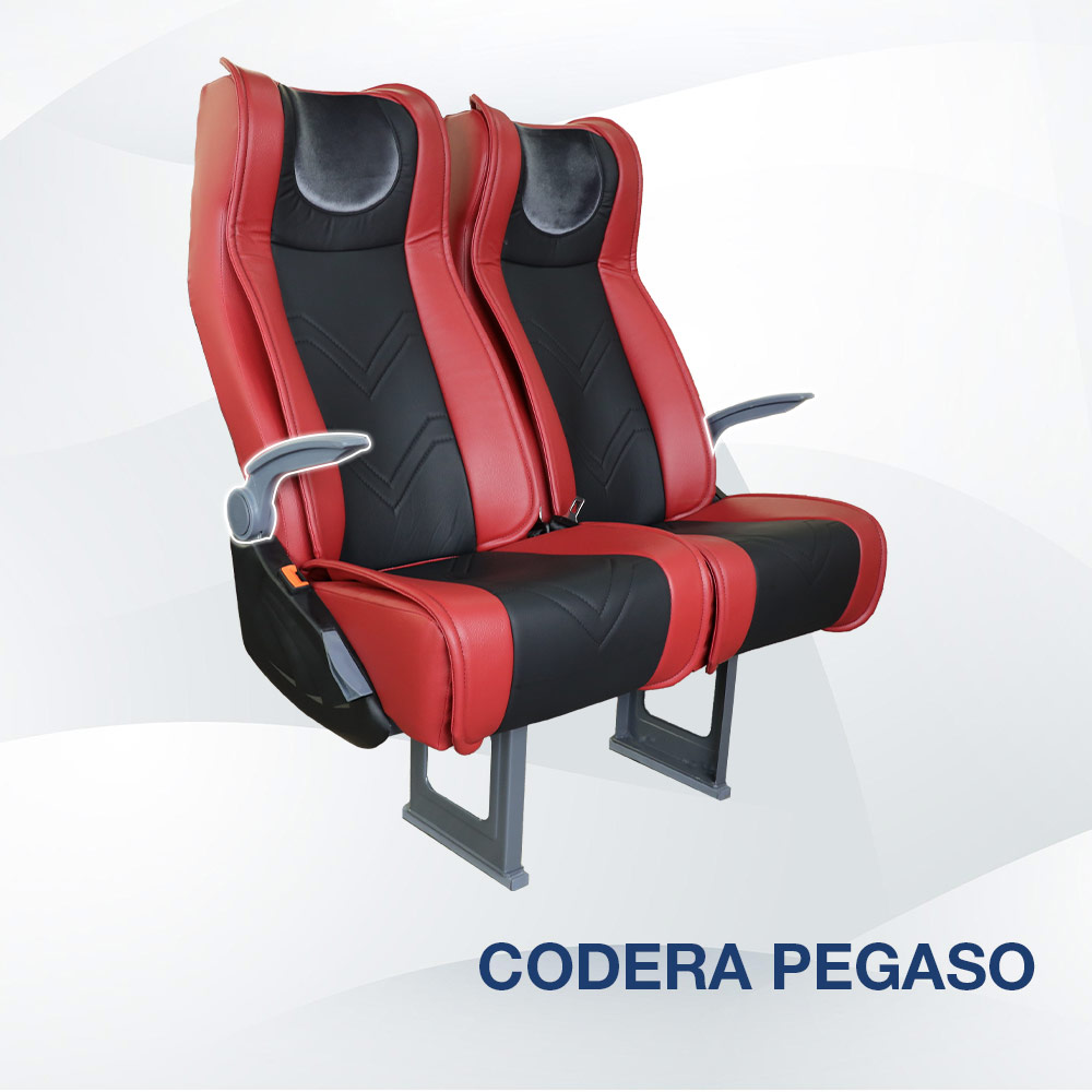 Codera Pegaso