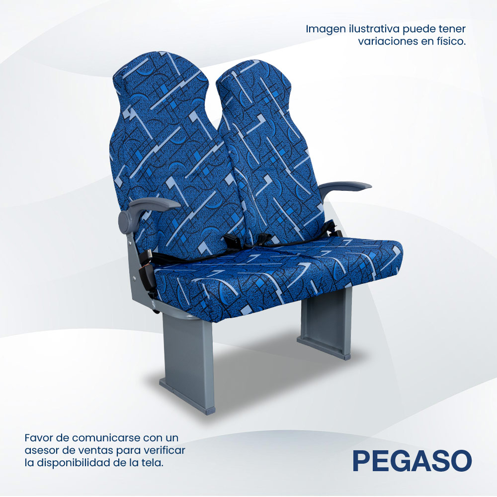 Asiento Pegaso